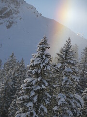 Regenbogen bei Schneefall