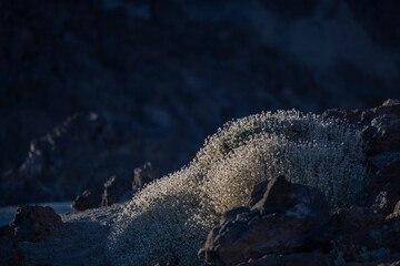 Teide Teneriffa