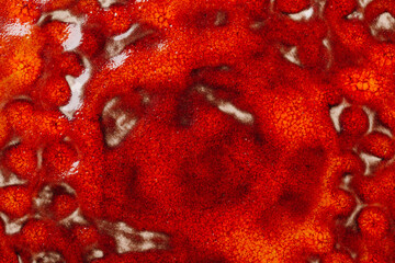 Red color background. Red abstract ceramic surface.
