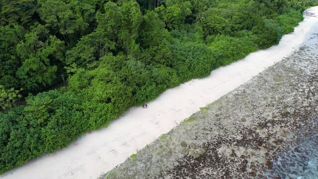 aerial drone shot orbiting people on a white sand beach with black rocks in front and green coconut trees behind at the famed radha nagar beach in havelock island in andaman