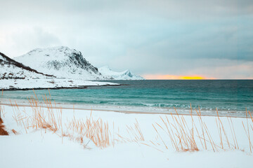 Snowy beach in norway's lofoten islands