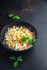 coleslow salad cabbage vegetable carrot, onion, greens healthy meal food snack on the table copy space food background rustic top view keto or paleo diet veggie vegan or vegetarian