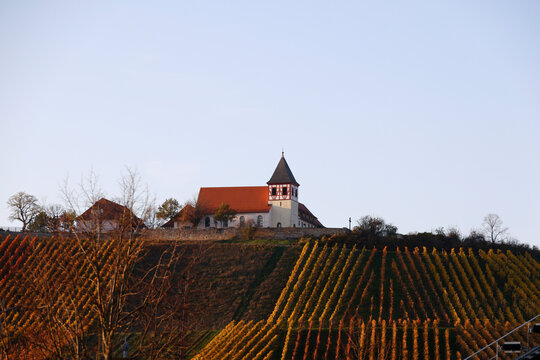 The Michaelsberg in Cleebronn, Zaberg&auml;u in Baden-W&uuml;rttemberg, Germany