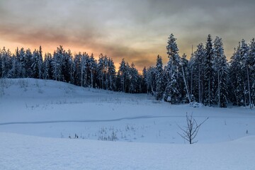 Winter morning in the forest with snow-covered trees, dawn. Travel concept