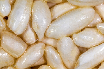 sweet airy rice grains