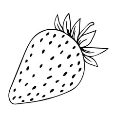 Strawberry freehand drawings, delicious ripe berries, vector image, retro style