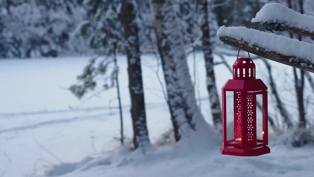 Flashlight on a branch against the backdrop of a winter landscape, White snow on the branches.