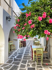 Traditional greek tavern cafe restaurant under a beautiful flower tree, cycladic islands, table and chairs in Greece