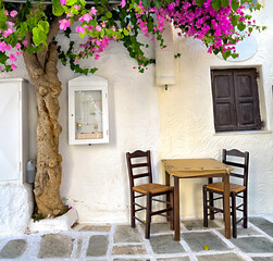 Fototapeta na wymiar Traditional greek tavern cafe restaurant under a beautiful flower tree, cycladic islands, village serifos table and chairs in front of a Greece