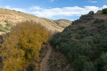 trees in a valley in the south of Spain