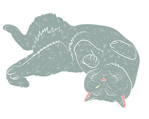 Realistic playing  grey cat. vector illustration