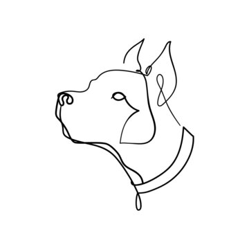illustration vector line dog pit bull terrier stafford