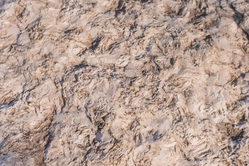 The texture of the stone. Background. Close-up.