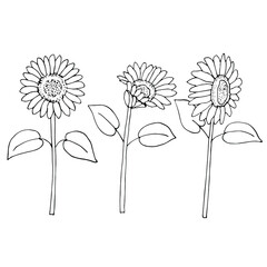 Sunflowers set vector illustration, hand drawing doodles