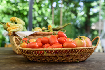 Woven basket on a wooden table filled with ripe red organic tomatoes.