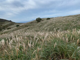 9월 가을의 황매산, 한국 억새가 아름다운 명산 풍경 /  Hwangmaesan Mountain in the fall of September, famous mountain scenery with beautiful Korean silver grass