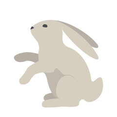 Rabbit 3