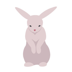 Obraz premium Rabbit 5