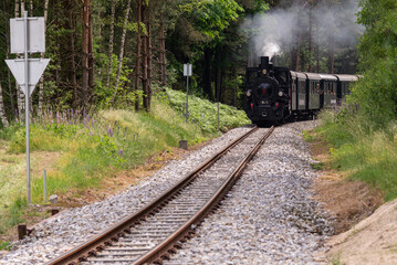 On a summer day a steam engine in Lower Austria goes through the woods.