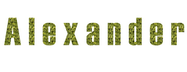 Simple text name design for Alexander