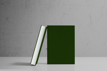 3d rendering mock up book