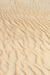 Desert sand dunes texture. Waves on the yellow sands of the desert. Close-up of a sandy beach.