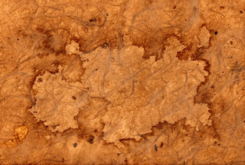 Old brown stained blank partchment paper background which has an aged and distressed texture which could be used as pirate map concept, stock photo image