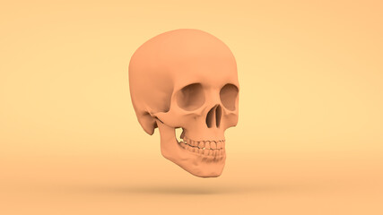 Orange skull on a yellow background. 3d illustration