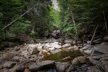 Trail to Lonesome Lake, White Mountains, New Hampshire