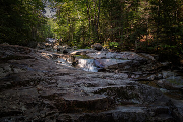 Trail to Lonesome Lake, White Mountains, New Hampshire