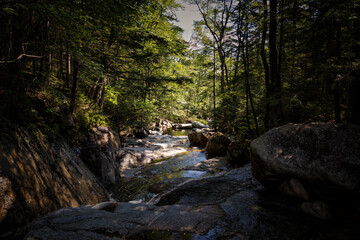 Trail to Lonesome Lake, White Mountains, New Hampshire