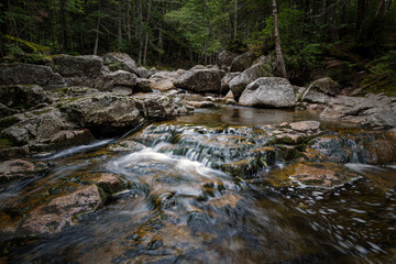 Fototapeta na wymiar Trail to Lonesome Lake, White Mountains, New Hampshire