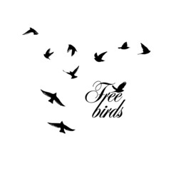 A flock of flying birds. Free birds. Vector illustration