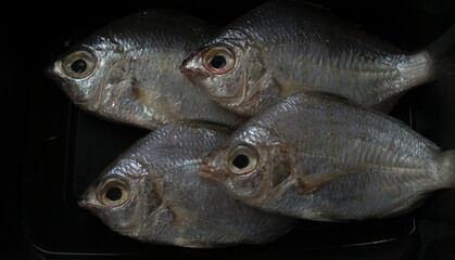 Four Small Fishes Landscape Photography