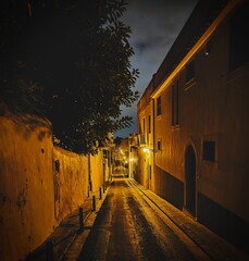 Lonely dark street