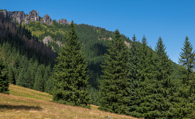 Mnichy Chochołowskie - długi rząd turni, które znajdują się w partiach szczytowych i na zboczach wschodniego ramienia Bobrowca (1663 m n.p.m.) w Tatrach Zachodnich