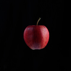 A deep red autumn apple, torn from an apple tree.