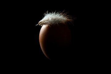 Brown egg with a white chicken feather on it, isolated over black background, rim lighting