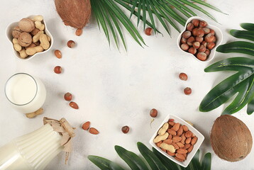 Assorted vegan lactose free milk, coconut, nut, oat, almond, milk replacer, healthy breakfast with ingredients, natural nutrition concept, maintaining a healthy intestinal microflora