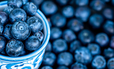 Blueberries healthy fresh juicy fruits close-up banner, background