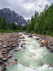 Stormy mountain river flow through forest. Beautiful alpine landscape with azure water in fast river. Power majestic nature of highlands. Vertical view.