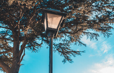 Luz