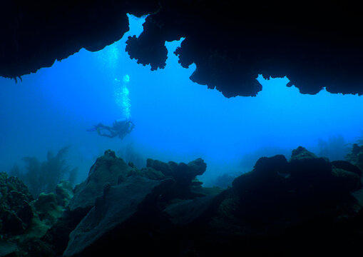 underwater scuba diver , caribbean sea , Aruba