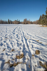footprints in the snow on a path with a field and trees in the winter