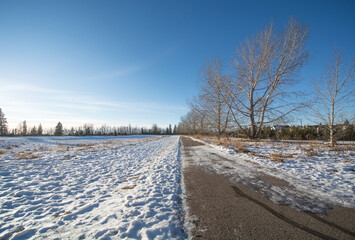winter landscape with snow covered trees