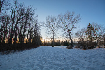 sunset in the park over a frozen path