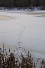 footprints in the snow on a frozen lake