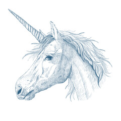 Unicorn head profile hand drawn sketch style portrait