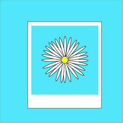 Daisy in frame with light blue background