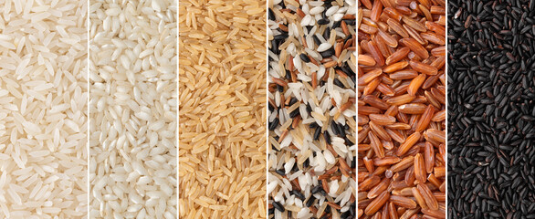 Collage of assorted rice. White, carnaroli, whole, red and black uncooked rice in panoramic format